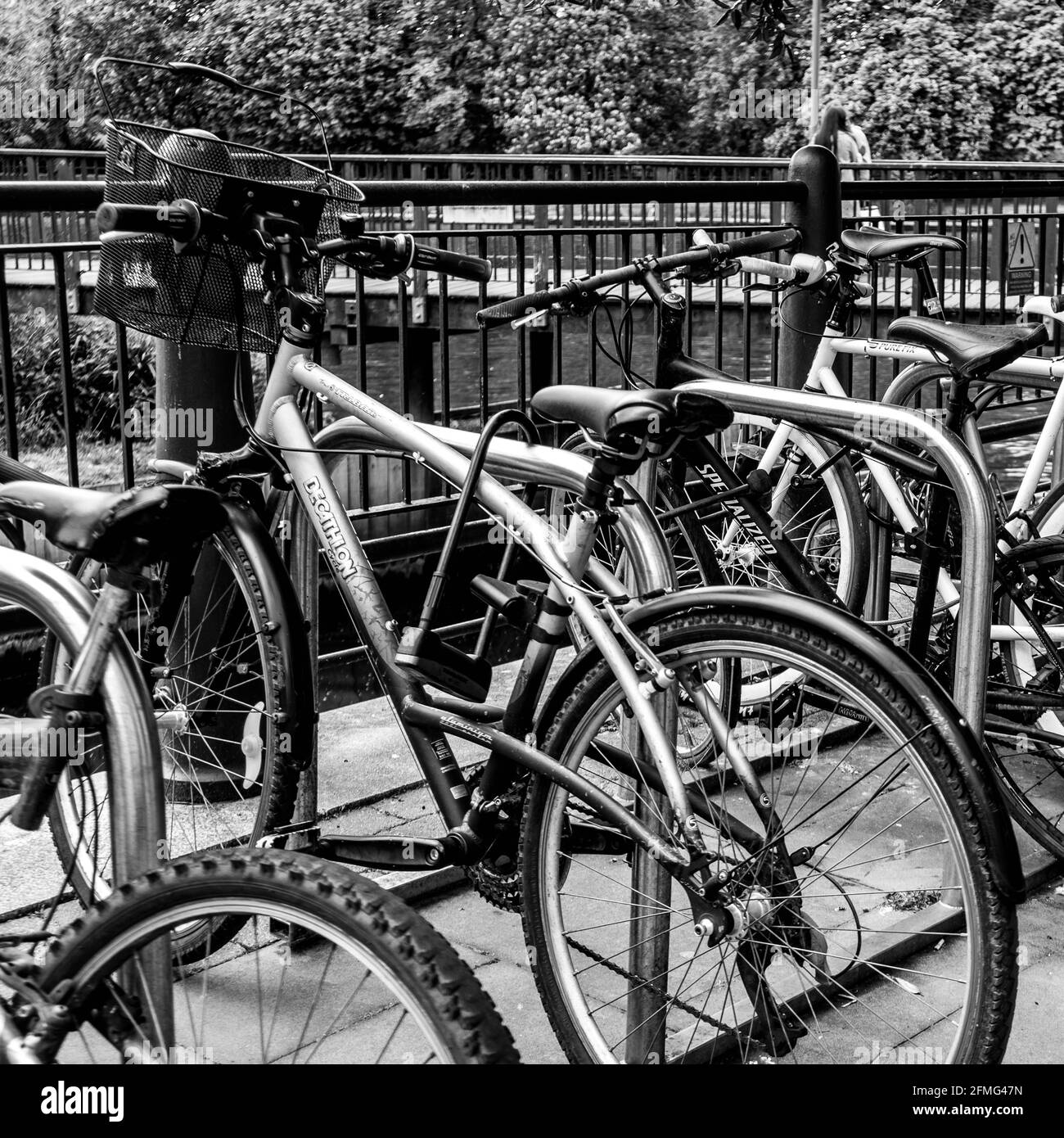 Kingston upon Thames Surrey Londres Royaume-Uni 07 2021 mai, rangée de bicyclettes garées écologiques sans personne Banque D'Images