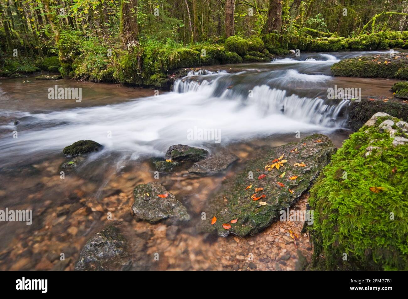 Herisson rivière qui traverse la vallée des 7 cascades du Hérisson le hérisson (chutes), classée site du patrimoine naturel dans le Jura (39), Banque D'Images Herisson rivière qui traverse la vallée des 7 cascades du Hérisson le hérisson (chutes), classée site du patrimoine naturel dans le Jura (39), Banque D'Images