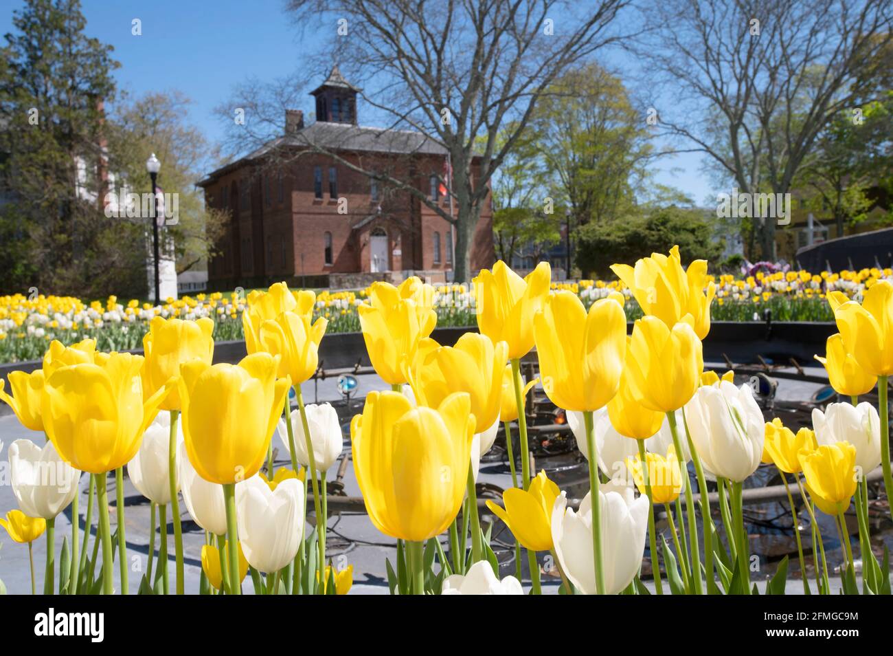 La Old Colony Historical Society de Taunton, Massachusetts, telle qu'elle a été vue au-dessus de divers monuments commémoratifs de guerre Banque D'Images