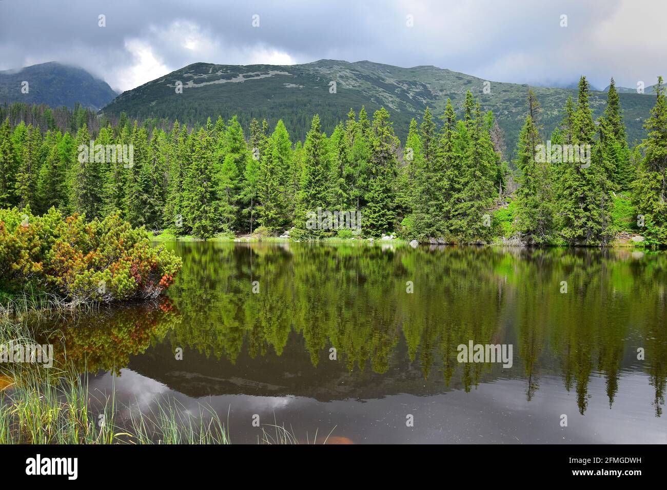 Le lac Jamske pleso dans les montagnes du Haut Tatra. La montagne et les arbres se reflètent dans le lac. Slovaquie. Banque D'Images