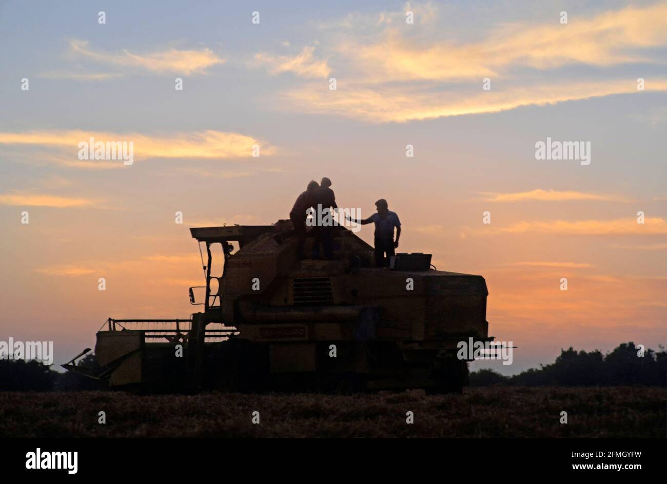Vue d'archive Silhouette1984 d'une moissonneuse-batteuse en panne par les agriculteurs enlisé dans les champs de blé des années 1980 de récolte avec l'agriculteur et des hommes qui travaillent tard sur la machine pour reprendre la récolte en début de soirée crépuscule coucher de soleil ciel dans les années 80 archivistique Image Essex campagne Angleterre Royaume-Uni Banque D'Images