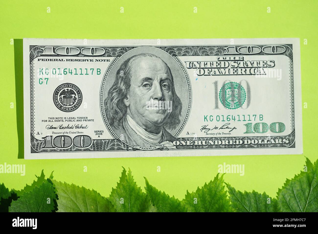 Facture de cent dollars et feuilles vertes sur la table. Banque D'Images
