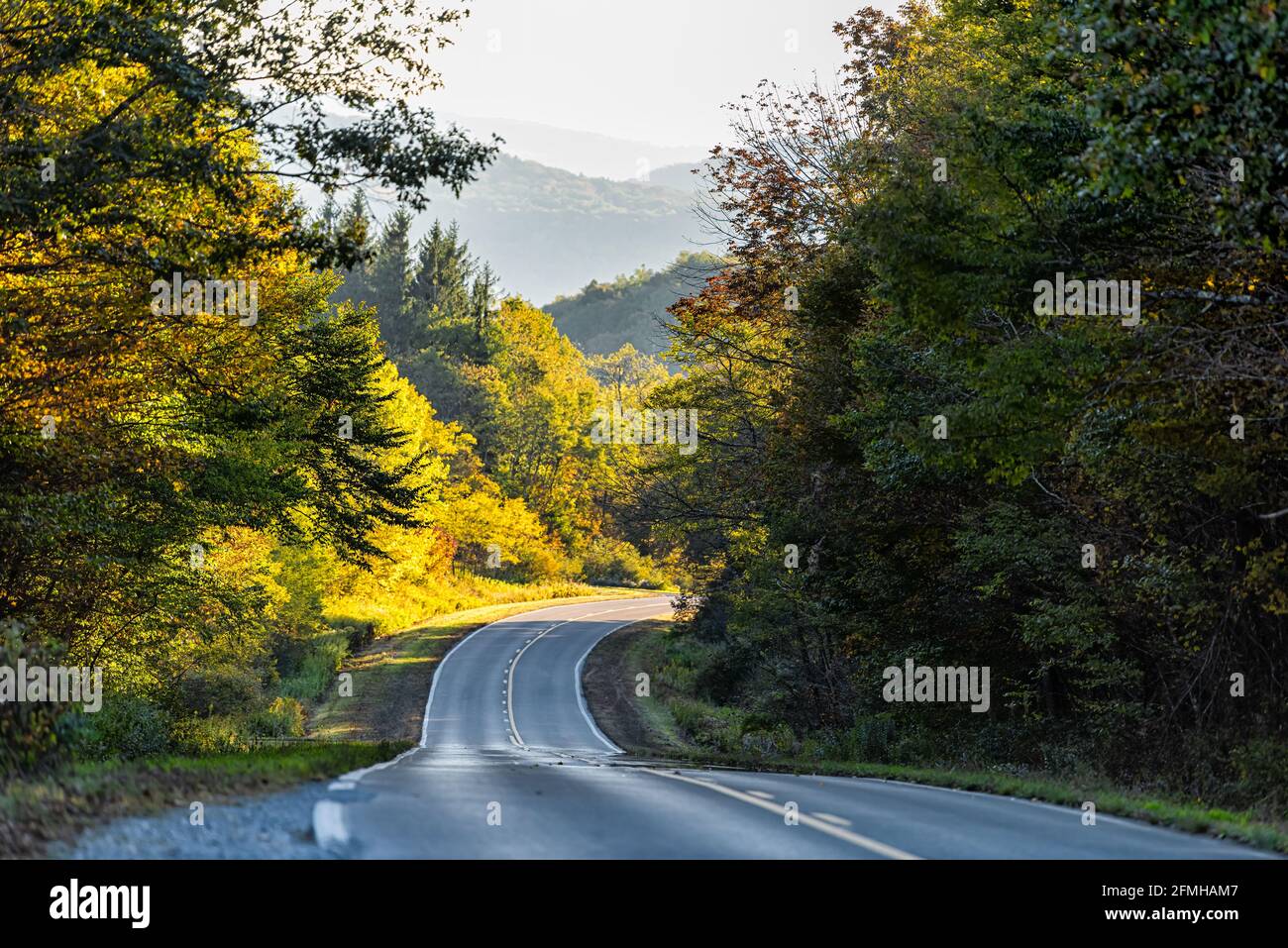 Point de vue de la voiture sur l'autoroute panoramique sinueuse des hauts plateaux Route en automne coloré automne en Virginie occidentale à Monongahela forêt nationale avec coucher de soleil ou Banque D'Images