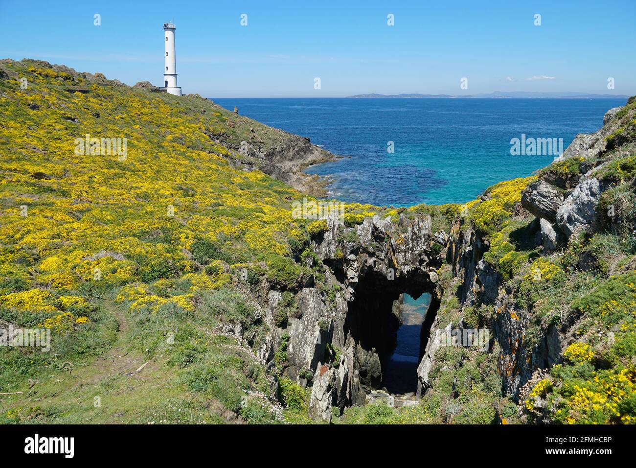 Côte Atlantique gorge en fleur avec arche naturelle et phare en arrière-plan, Galice, Espagne, province de Pontevedra, Cangas, Cabo Accueil Banque D'Images