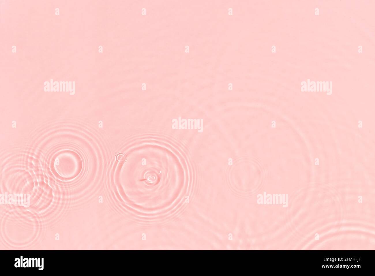 rose transparent eau transparente texture de surface été fond Banque D'Images