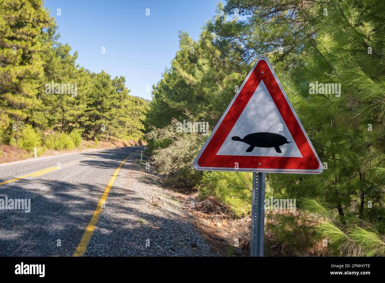 Signalisation routière indiquant que des tortues terrestres traversent la route Turquie Banque D'Images