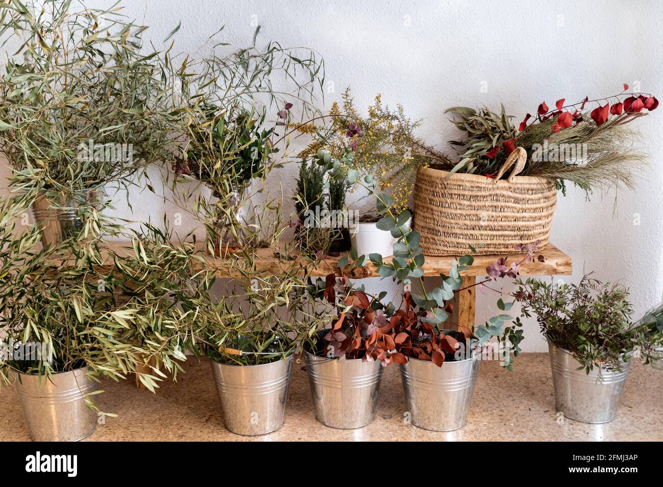 Tiges parfumées fraîches d'arbre étroit de menthe poivrée noire et Romarin placé sur des seaux en métal avec feuilles de plante de Loropetalum dedans marché aux fleurs Banque D'Images