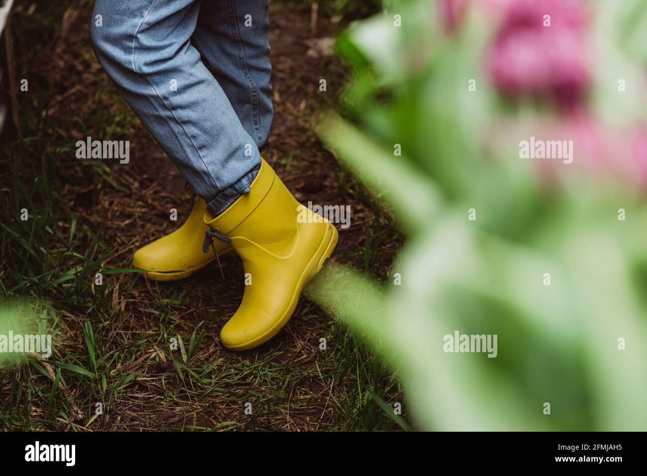 Femme non reconnaissable jardinier dans des bottes en caoutchouc jaune.  Mise au point sélective douce Photo Stock - Alamy