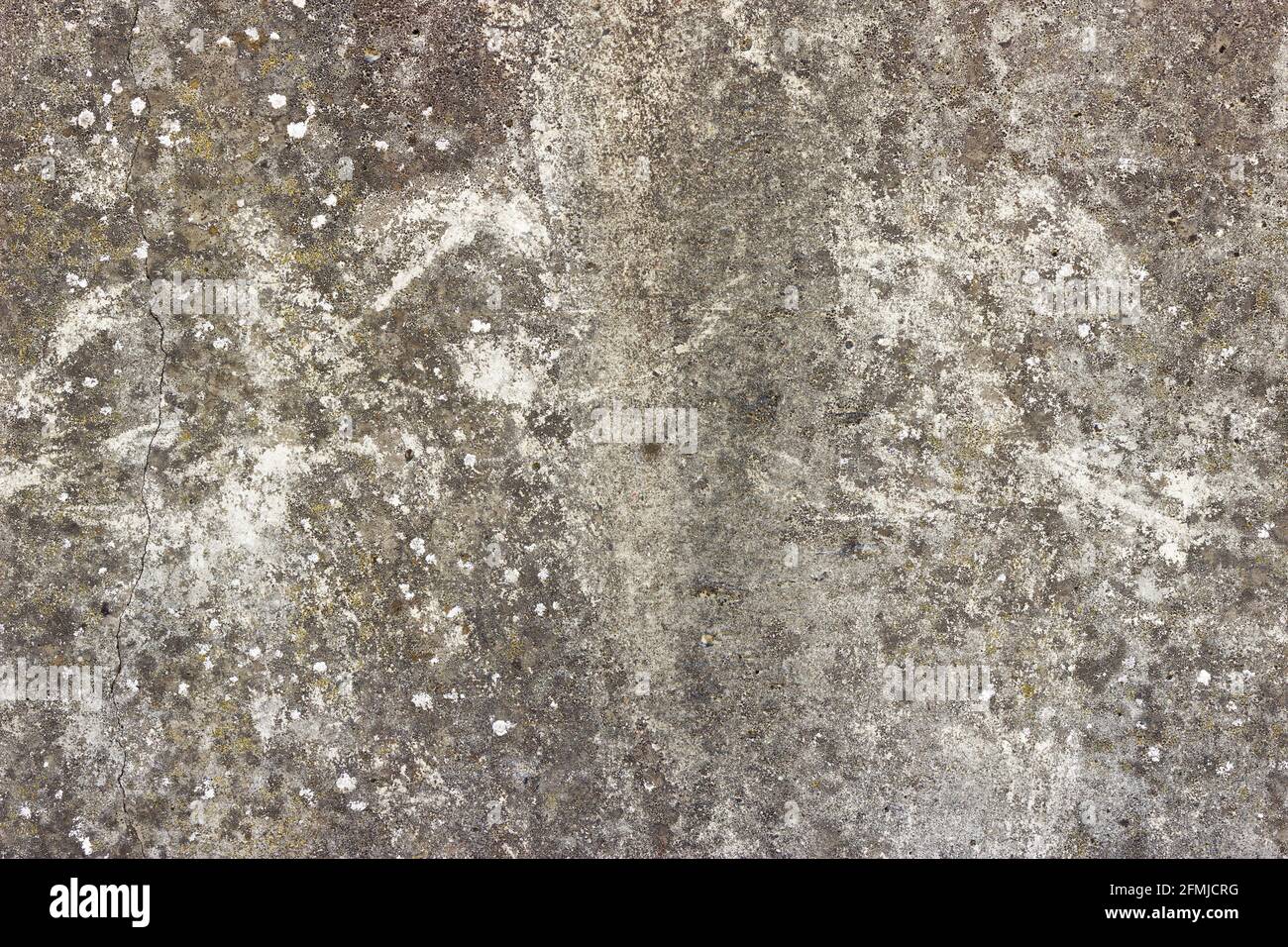 Une surface plate en béton gris avec quelques points de lichen blanc Banque D'Images