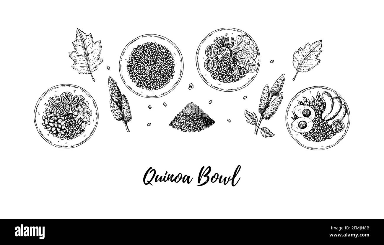 Ensemble de bols de quinoa dessinés à la main et salade. Illustration vectorielle dans le style d'esquisse Illustration de Vecteur