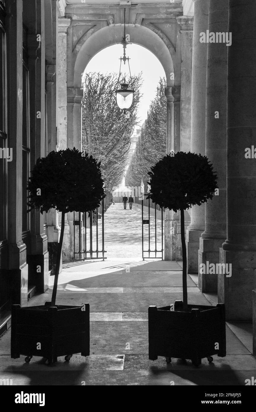 Les jardins du Palais-Royal à Paris, France. Photographie en noir et blanc Banque D'Images