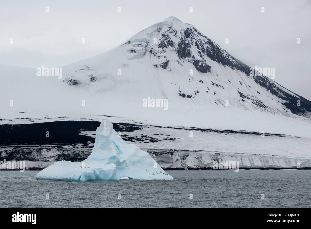 Territoire britannique d'outre-mer, îles Sandwich du Sud, île Bristol. Pingouins sur l'iceberg. Banque D'Images