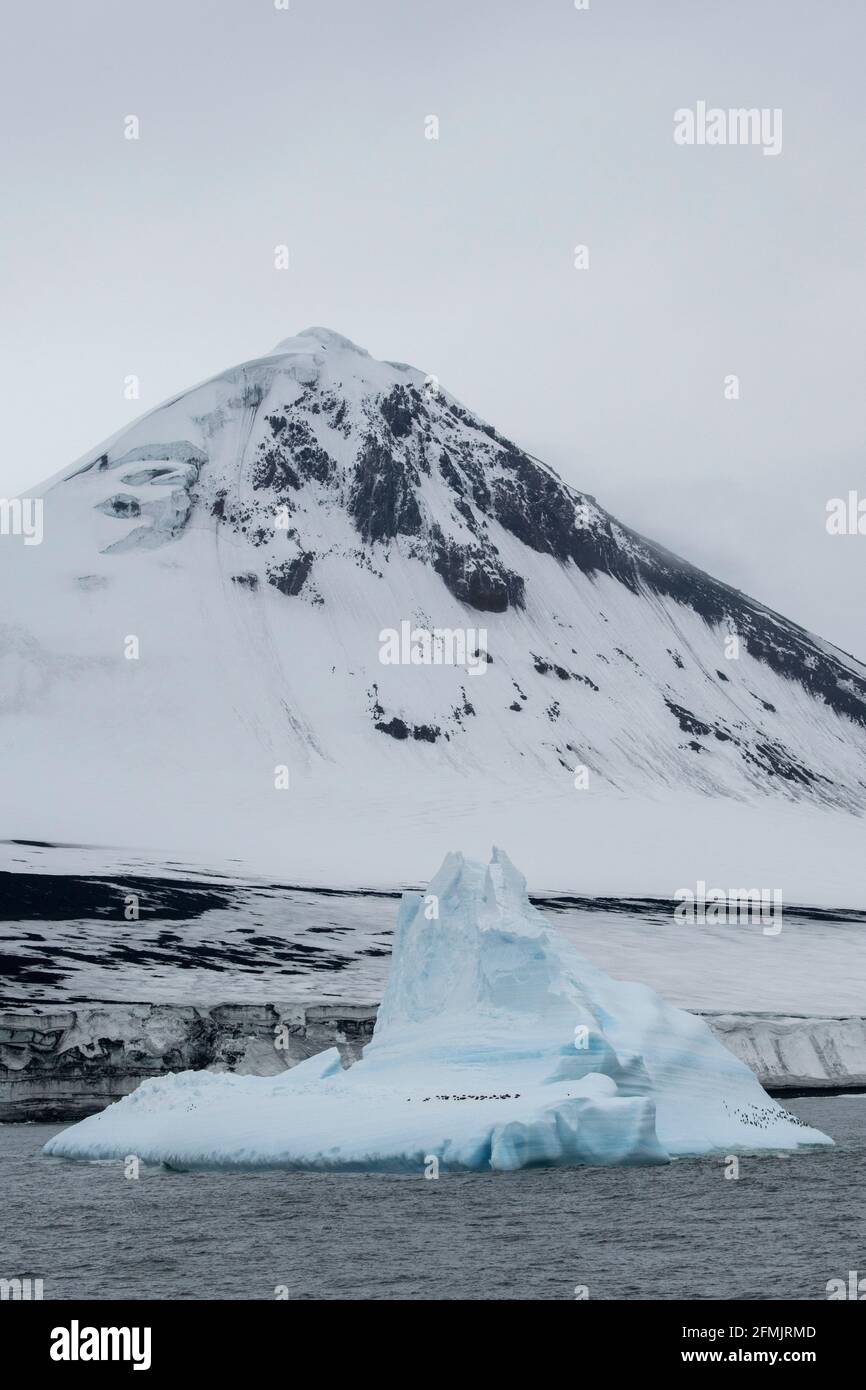 Territoire britannique d'outre-mer, îles Sandwich du Sud, île Bristol. Pingouins sur l'iceberg. Banque D'Images