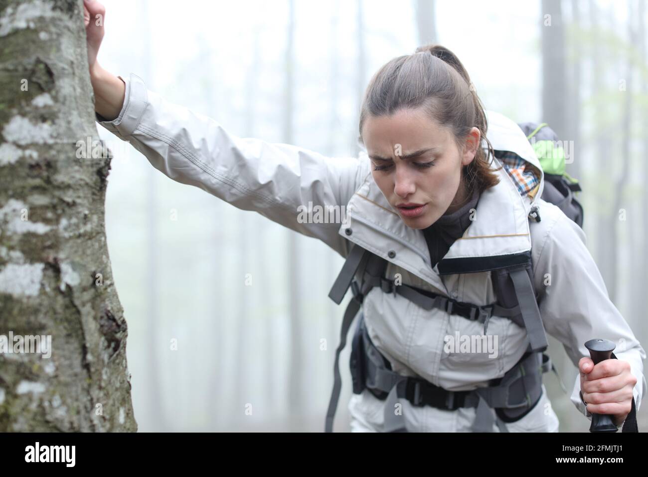 Trekker fatigué se reposant dans un arbre dans la montagne une journée brumeuse Banque D'Images