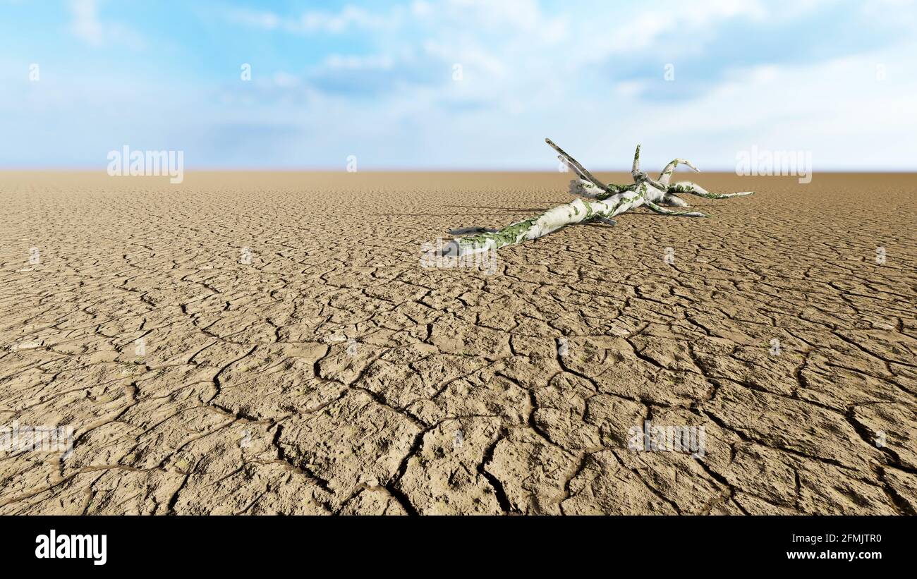 Concept ou paysage désertique conceptuel avec un tronc d'arbre desséché comme métaphore du réchauffement climatique et du changement climatique Banque D'Images