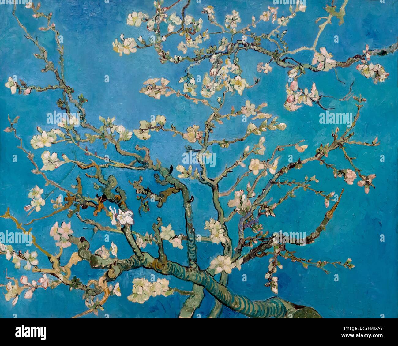 Amande Blossom, Vincent van Gogh, 1890 Banque D'Images