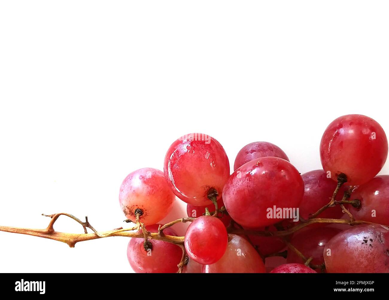 Les baies mûres rougeoyant des raisins rouges sur fond blanc Banque D'Images