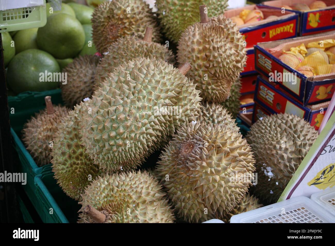 DURIAN Durio King de fruits distinctif pour une forte odeur Banque D'Images