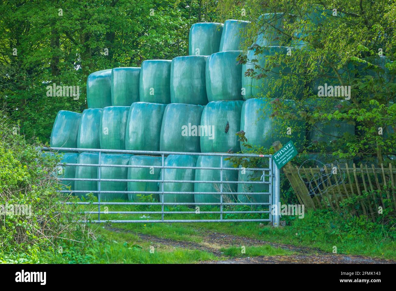 Des seaux de foin de Greeb se sont empilés sur des terres agricoles près de Moss Bank à St Helens, Merseyside Banque D'Images