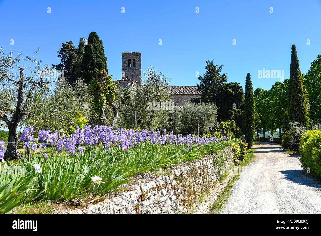 Vialetto di accesso alla Pieve di San Polo à Rosso (Radda - Sienne, Italie) Banque D'Images
