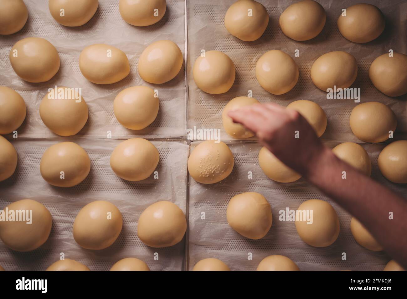 Petits pains dans une vue panoramique, pâte molle dans la boulangerie Banque D'Images