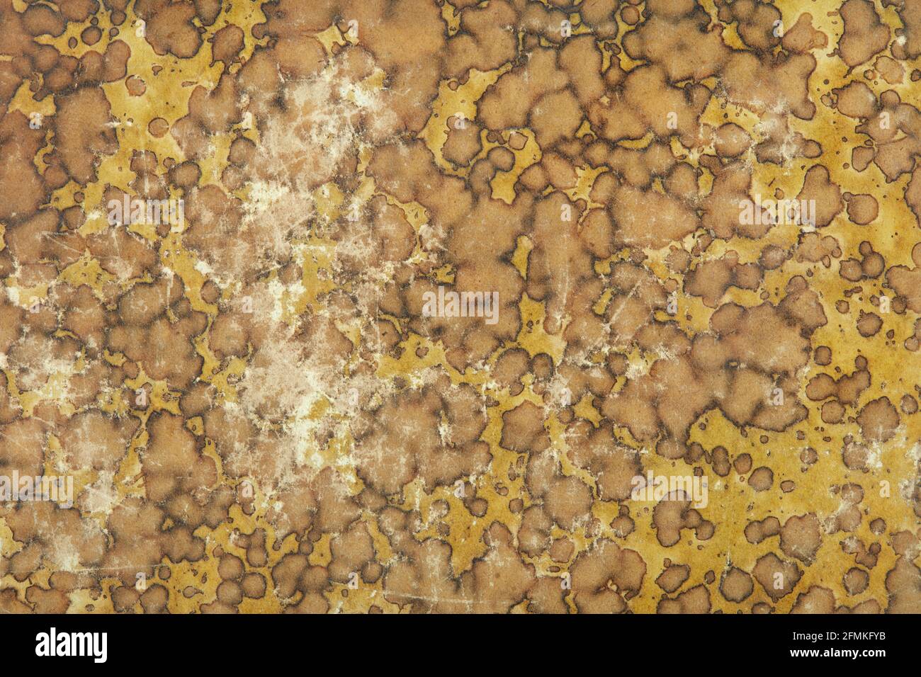 Vieux carton avec jaune et brun décoloré motif abstrait texture arrière-plan Banque D'Images