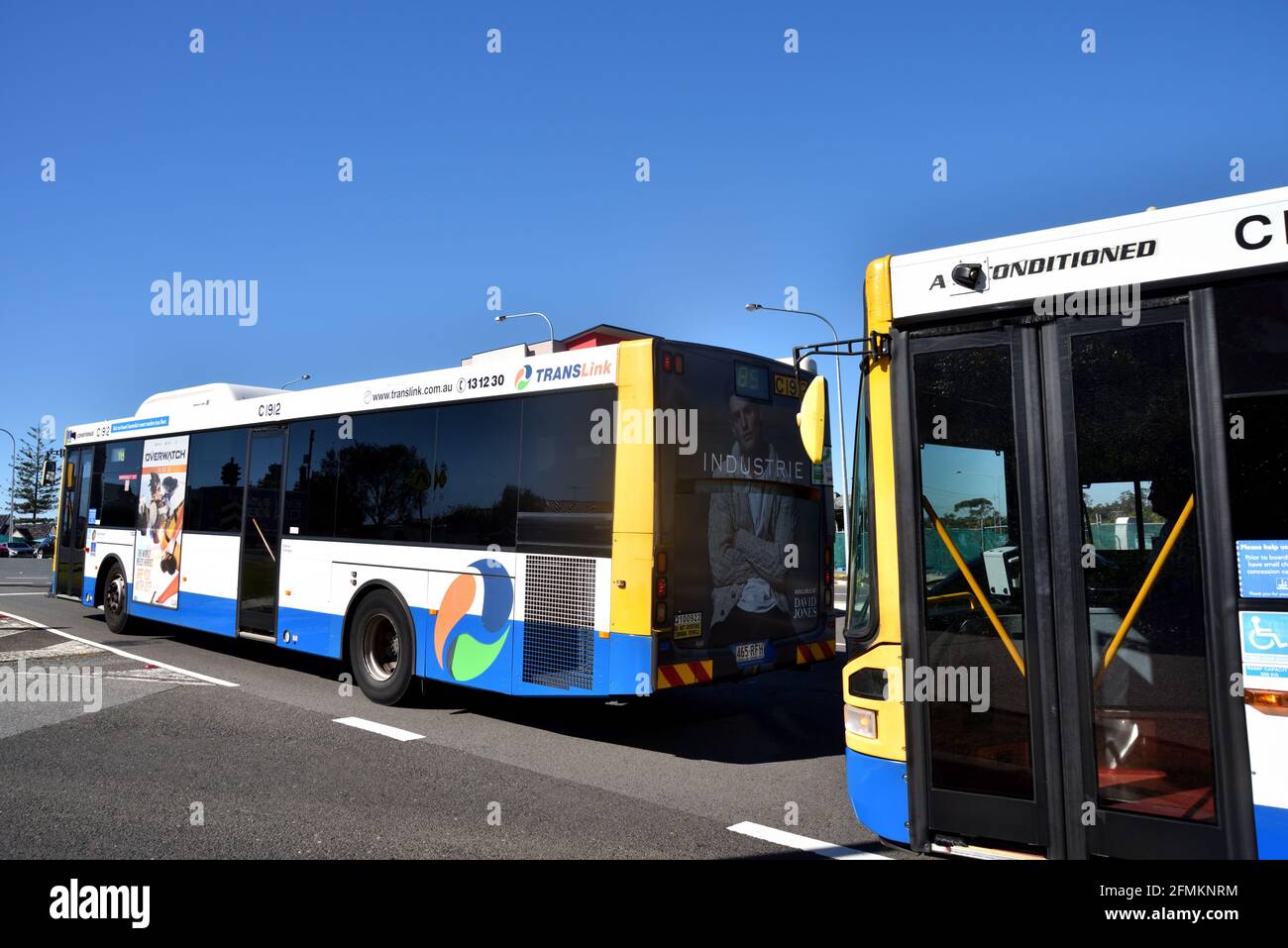 Bus de Brisbane, Queensland, Australie Banque D'Images