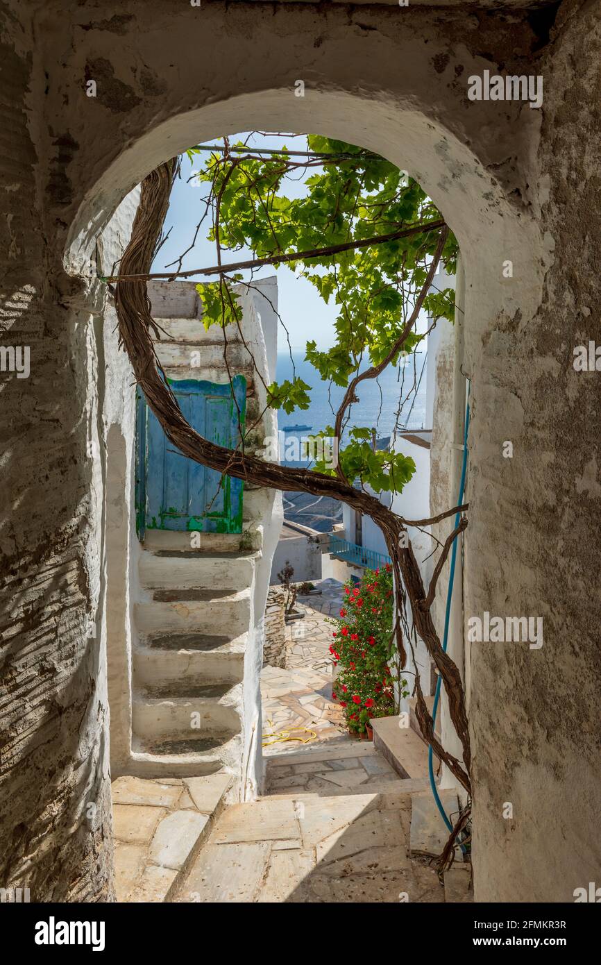 Ruelle traditionnelle avec une rue étroite, une maison blanchie à la chaux avec une porte bleue, une vigne et une arche dans l'île de isternia Tinos, Grèce. Banque D'Images