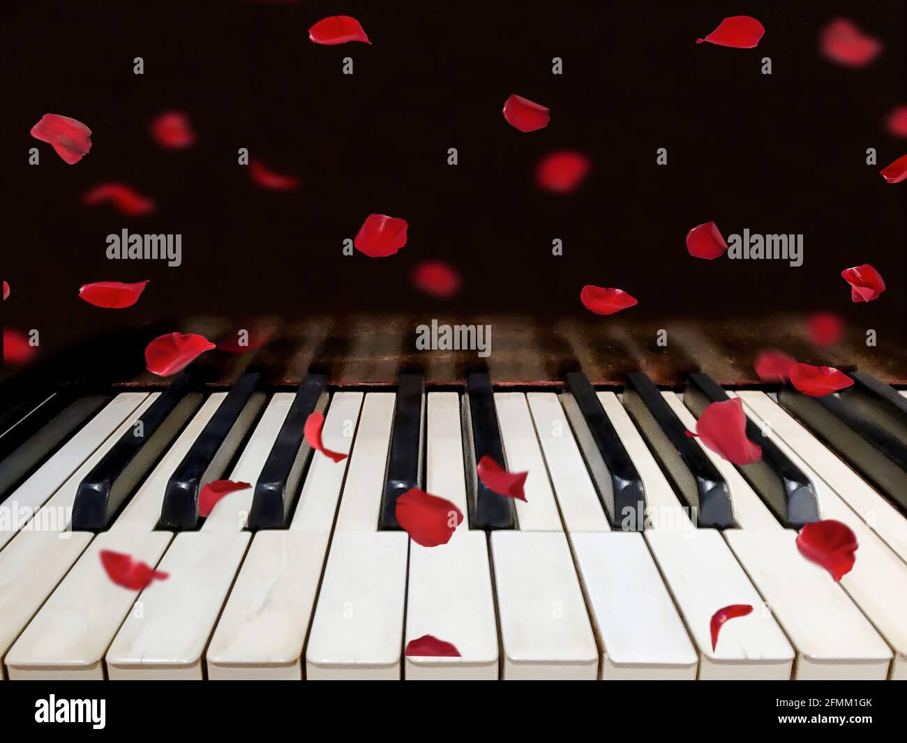 pétales de rose rouge tombant sur de vieilles clés de piano grungy Banque D'Images
