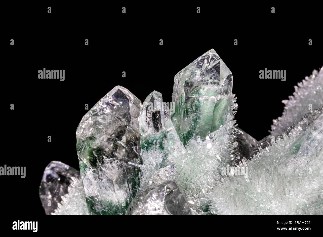 Cristaux de quartz chlorés de l'Himalaya. Les cristaux principaux de couleur verte et blanche sont entourés de plus petits cristaux. Banque D'Images