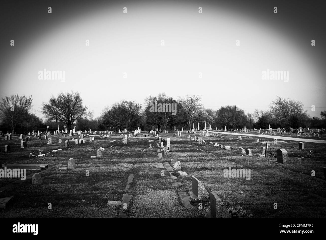 cimetière de cimetière effrayant et sinistre avec effet photo de vignette et haut filtre noir et blanc contrasté pour les fêtes d'halloween Banque D'Images