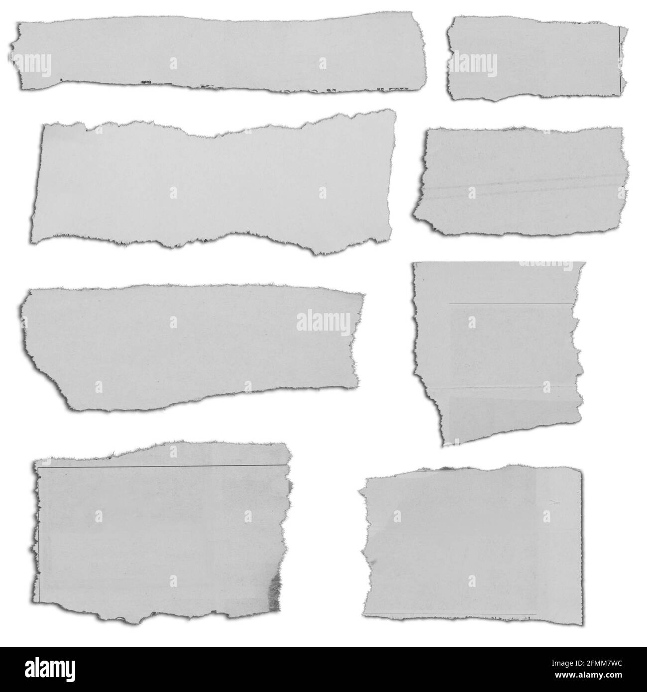 Huit morceaux de papier déchiré sur fond uni Banque D'Images