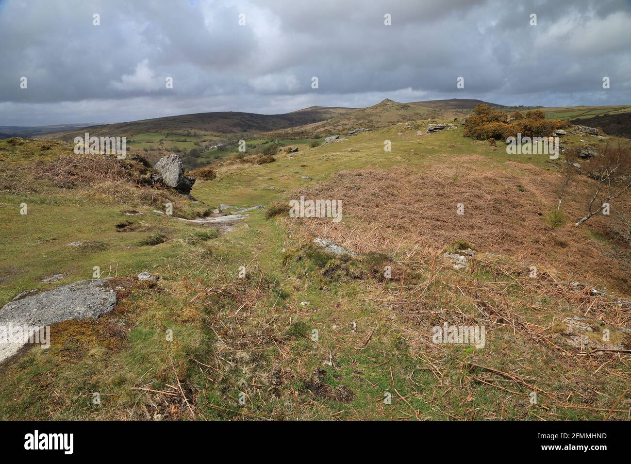 Banc, vue sur la rivière Dart gorge, Dartmoor, Devon, Angleterre, Royaume-Uni Banque D'Images