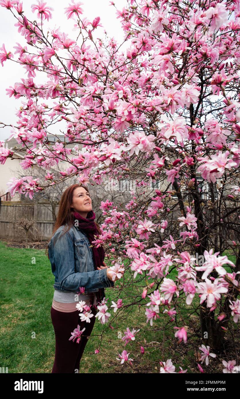 Femme admirant les fleurs roses sur un magnolia le jour du printemps. Banque D'Images