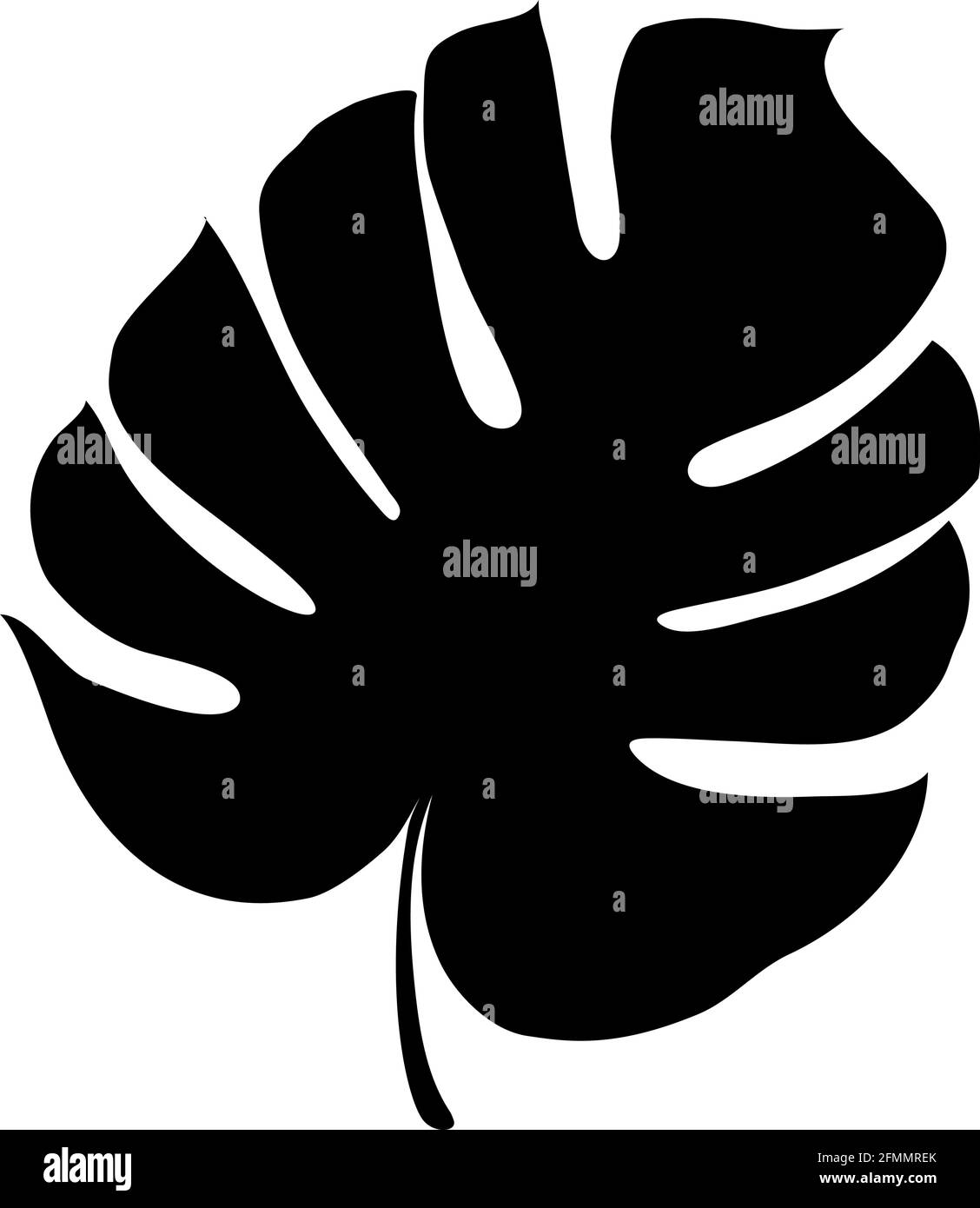 Monstera deliciosa plante feuille de forêts tropicales isolées. Vecteur pour cartes de vœux, prospectus, invitations, web design Illustration de Vecteur