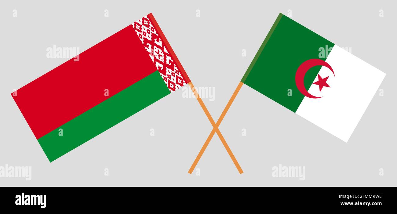 Drapeaux croisés de l'Algérie et du Bélarus. Couleurs officielles. Proportion correcte. Illustration vectorielle Illustration de Vecteur