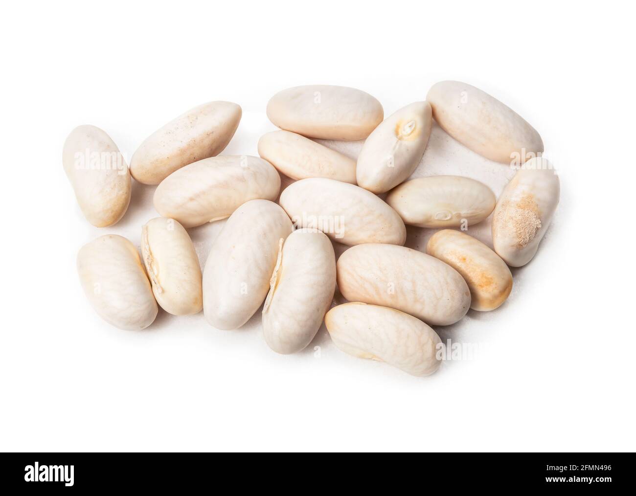 Pile de graines de haricot pour la plantation dans le sol du jardin. Bush ou Pole haricots également connus sous le nom de Golden Wax Beans, Navy Beans ou White Pea Bean. Foyer sélectif Banque D'Images