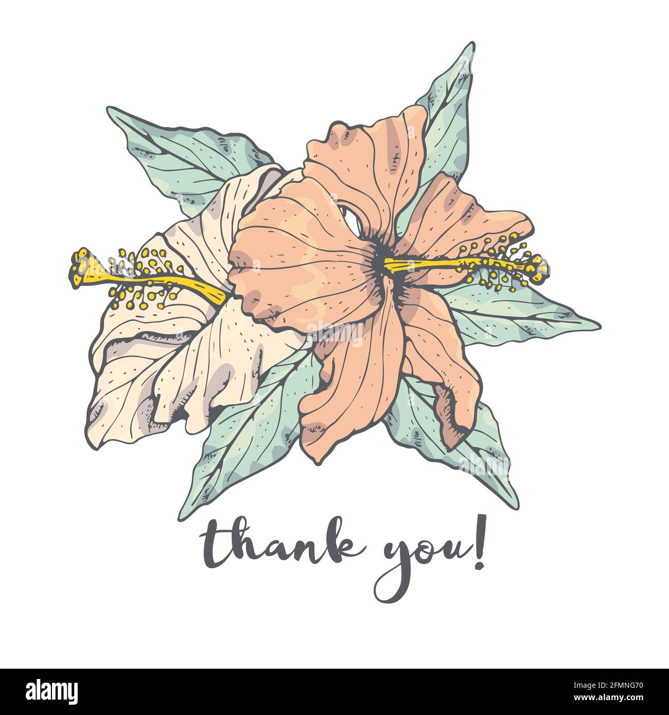 Vintage Line art hibiscus arrangement fleur avec le contour gris et merci par sms Illustration de Vecteur