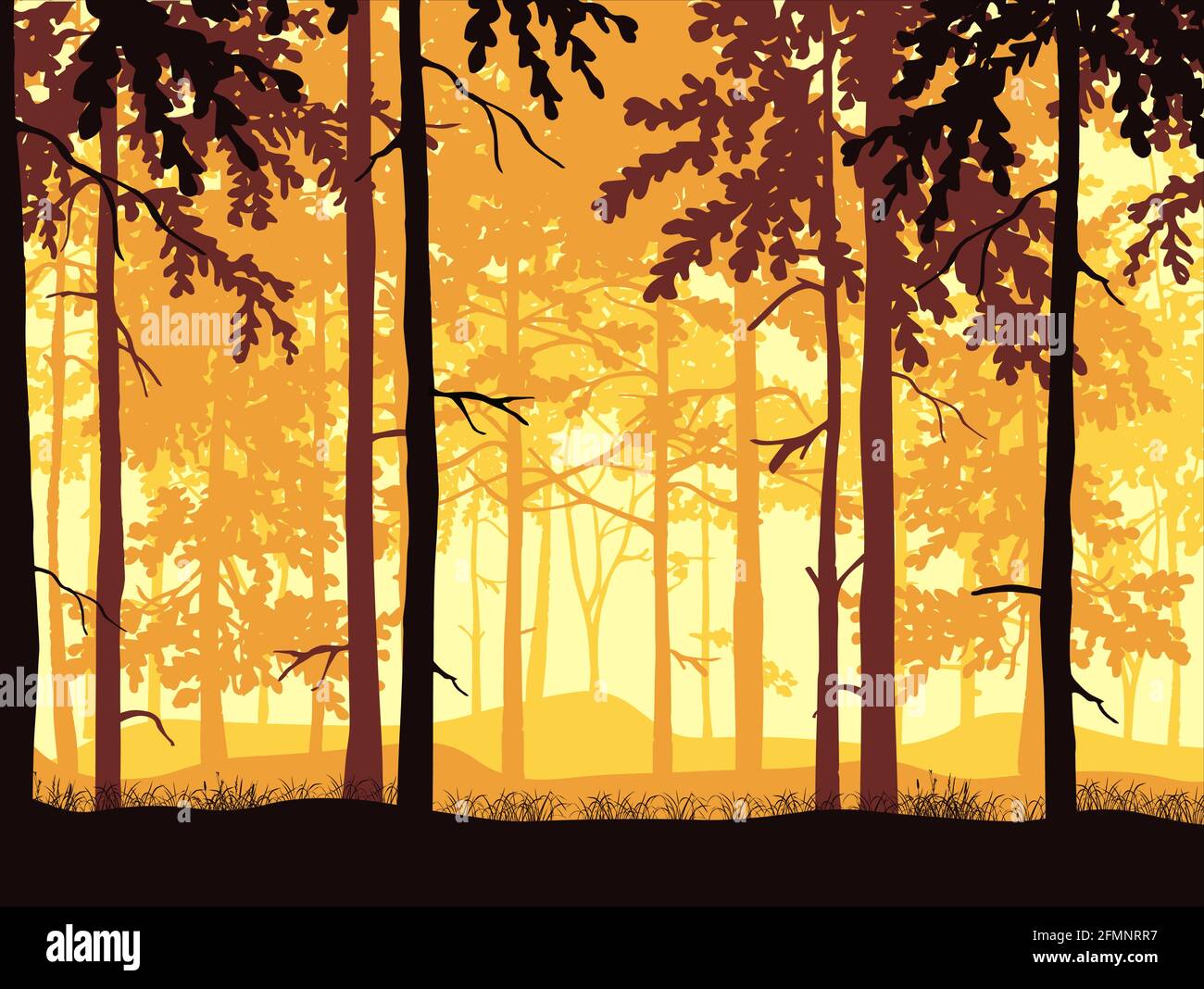 Arrière-plan de la forêt, silhouettes d'arbres. Paysage magique et brumeux. Illustration jaune, orange, marron. Illustration de Vecteur