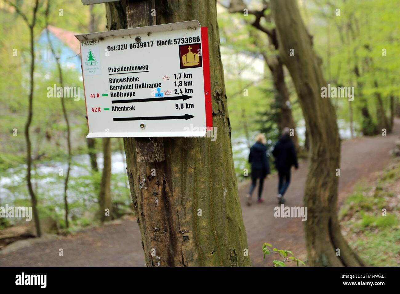 Thale, Allemagne. 07e mai 2021. Les randonneurs sont sur les sentiers de la vallée de la Bode. Le climat printanier attire de nouveau de nombreuses personnes dans la nature. Les sentiers de randonnée de la vallée de la Bode sont régulièrement vérifiés. En raison du risque accru de chute de roches, certains chemins ne sont accessibles qu'à vos propres risques. Credit: Matthias Bein/dpa-Zentralbild/ZB/dpa/Alay Live News Banque D'Images