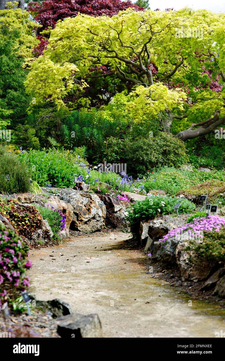 Dublin, Irlande 02 mai 2021. Vue sur le sentier dans le jardin botanique national de Dublin, Irlande Banque D'Images