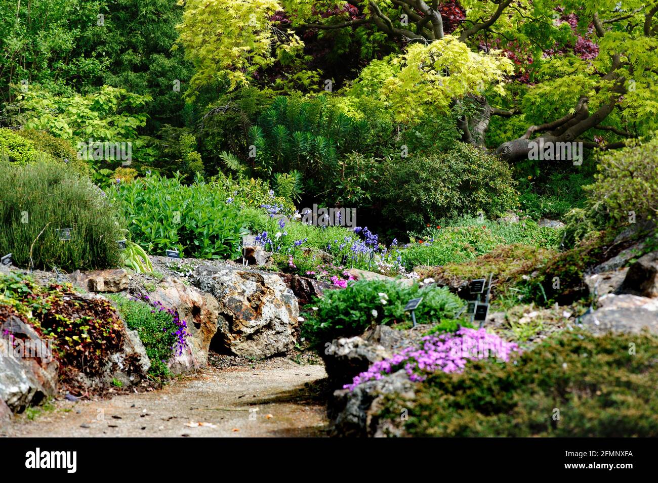 Dublin, Irlande 02 mai 2021. Vue sur le sentier dans le jardin botanique national de Dublin, Irlande Banque D'Images