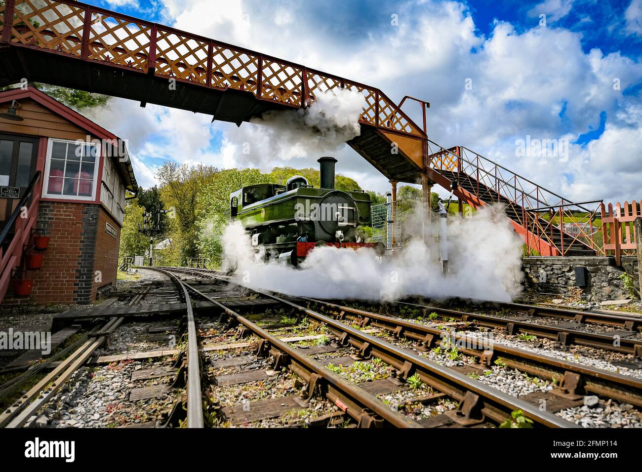 Great Western Pannier Tank 1336 classe n° 1369, construit en 1933, conduit par Andy Letts est donné à plein de vapeur en avant pour entrer dans la gare à la vapeur de South Devon Railway (SDR) à Buckfastleigh, South Devon, où le personnel, Les pilotes et les ingénieurs vérifient l'équipement alors qu'ils préparent l'attraction pour se préparer à la réouverture au public, le lundi 17 mai, avant de relâcher davantage les restrictions de verrouillage en Angleterre. Date de la photo: Mardi 11 mai 2021. Banque D'Images