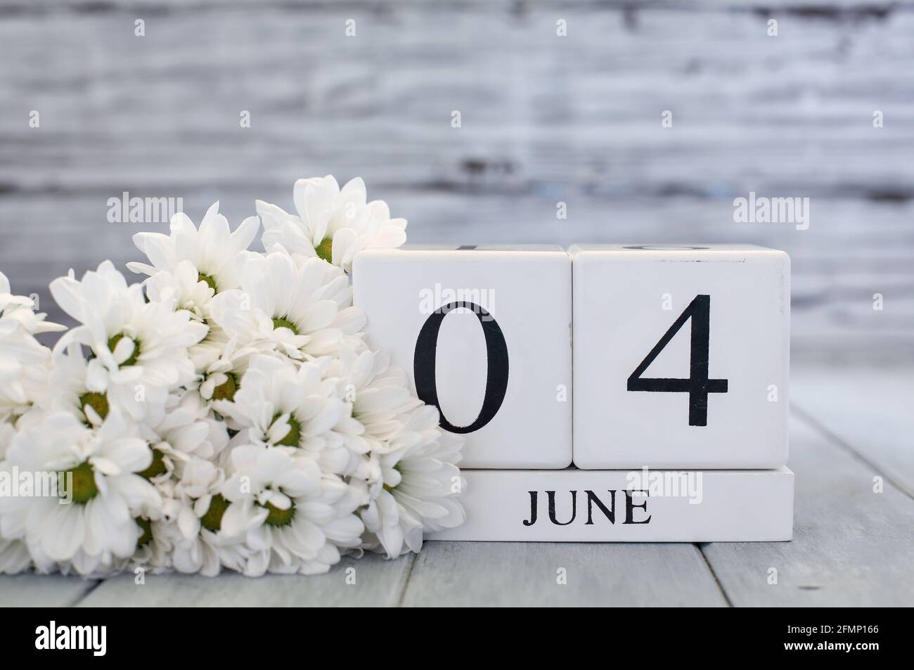 Blocs de calendrier en bois blanc avec la date du 4 juin et pâquerettes blanches. Mise au point sélective avec arrière-plan flou. Banque D'Images