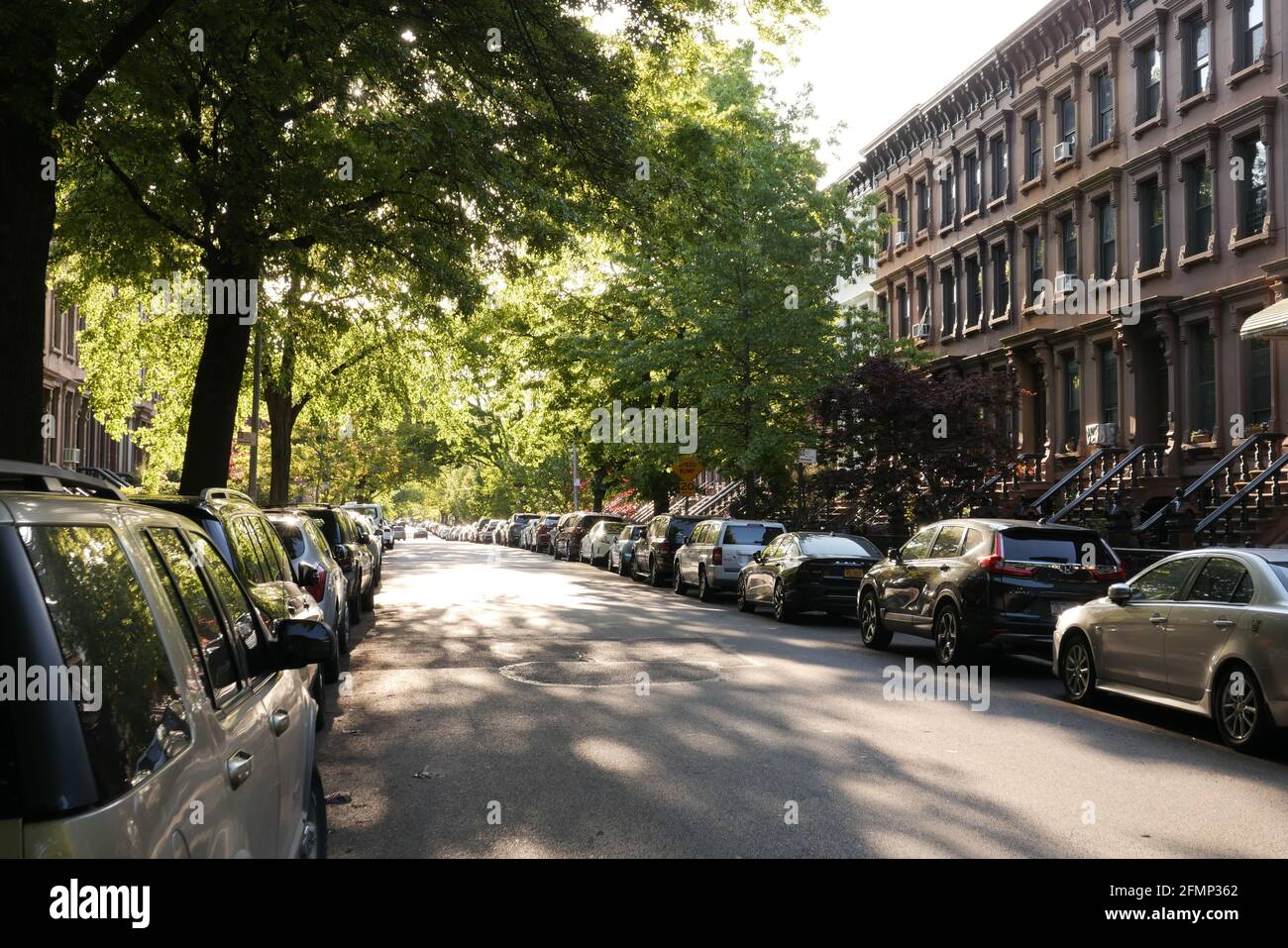 Bedford Stuyvesant, rue bordée d'arbres, Brooklyn, New York Banque D'Images