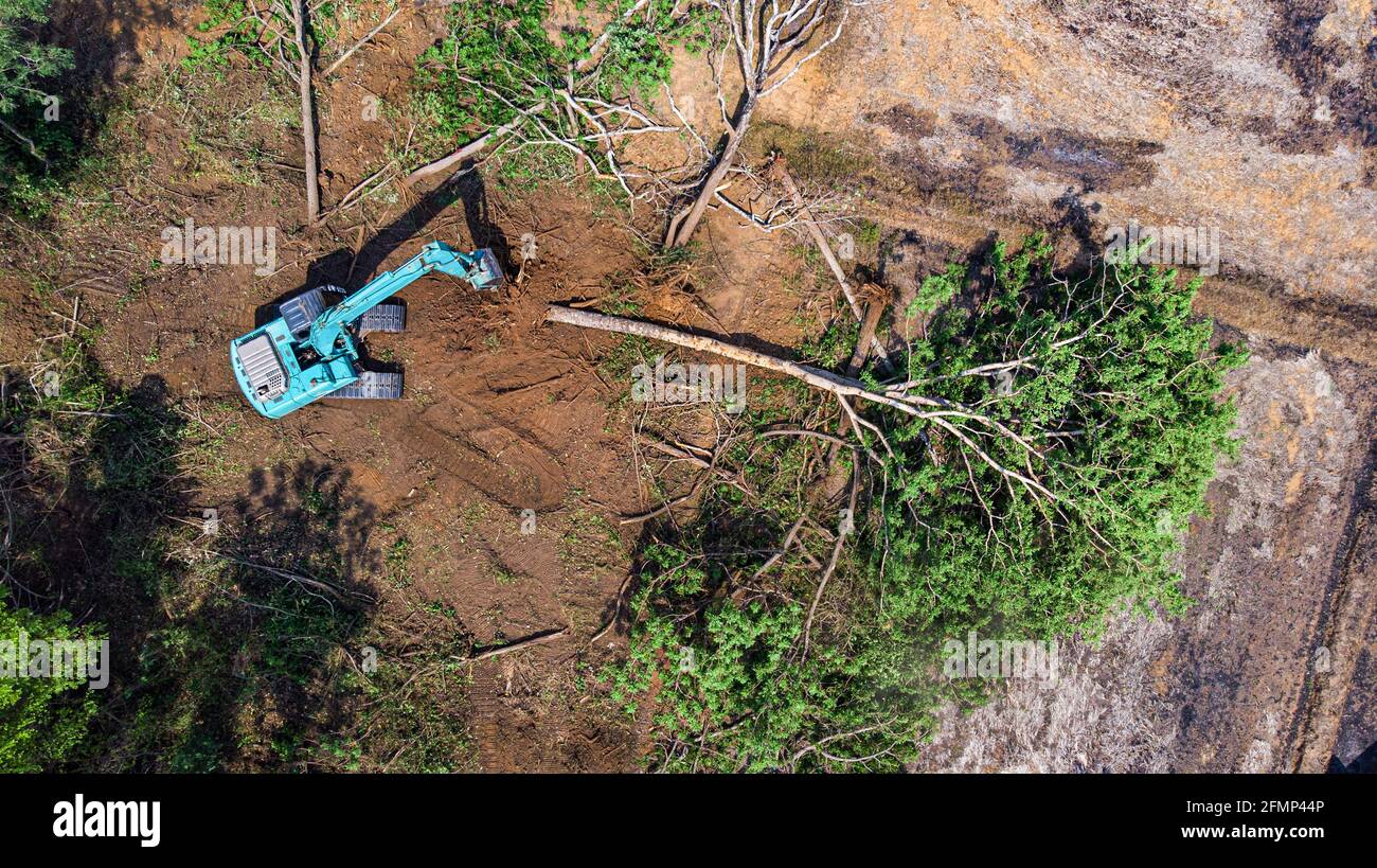 La vue de dessus de la déforestation. Banque D'Images