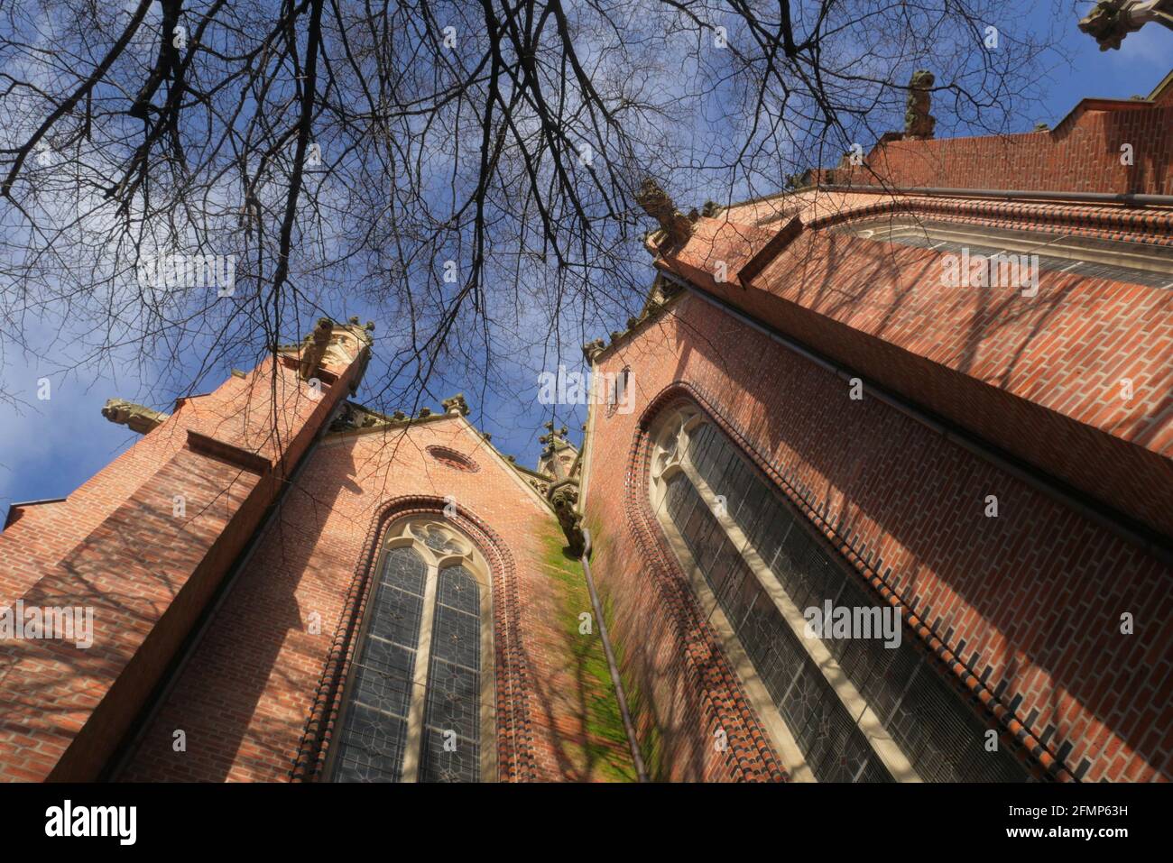 Gargouilles sur l'église Banque D'Images