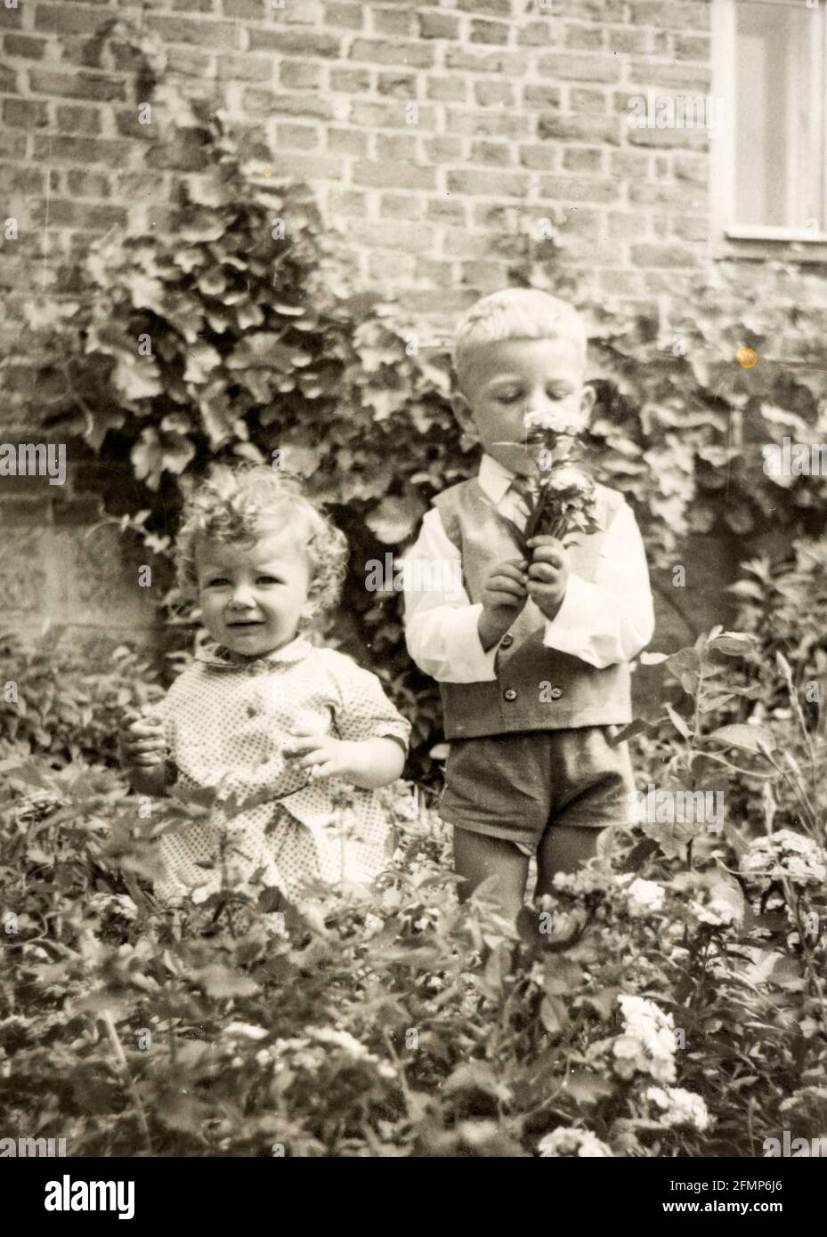 Enfants de 4 et 2 ans élégamment habillés avec des fleurs dans jardin arrière-cour vers 1970, Bulgarie Banque D'Images