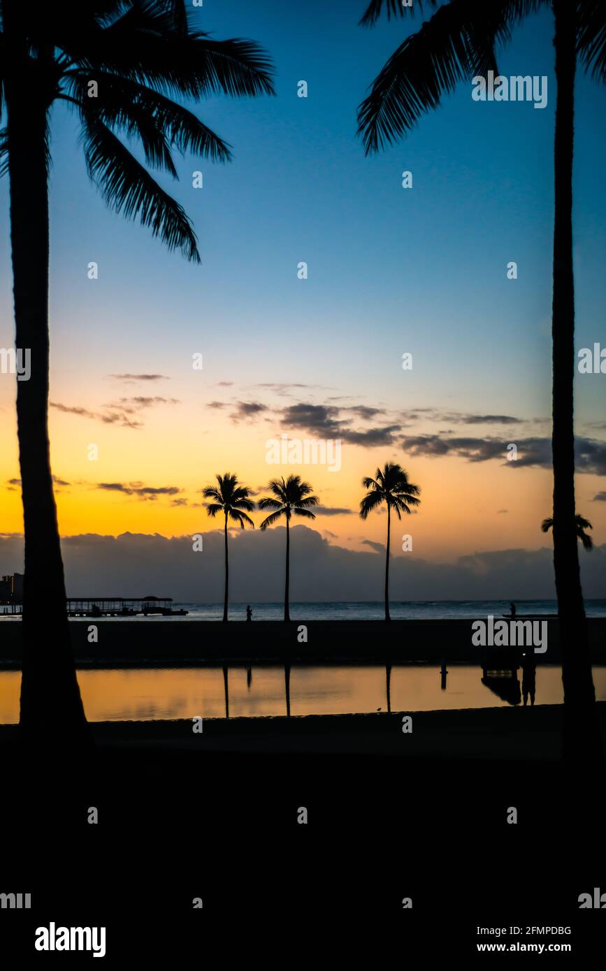 Une rangée de palmiers sur la plage se reflète dans le lagon Au lever du soleil Banque D'Images