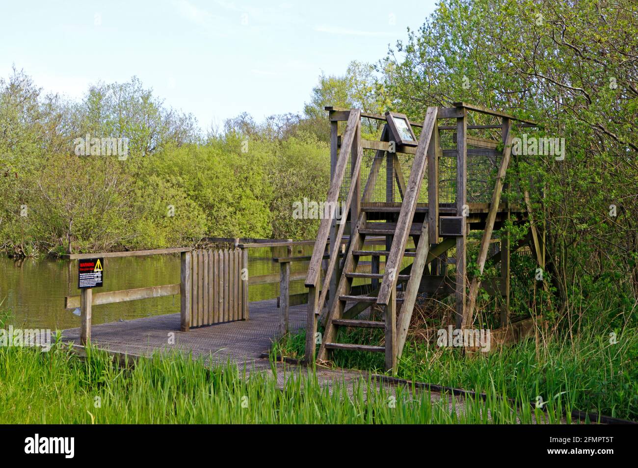 Une vue sur une plate-forme d'observation construite sur mesure au centre de la faune de Broads par Ranworth Broad, Norfolk, Angleterre, Royaume-Uni. Banque D'Images